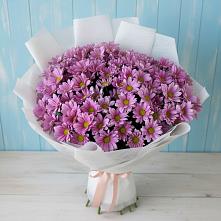 Букет цветов из:  Хризантемы в Приморско-Ахтарске