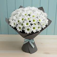 Букет цветов из:  Хризантемы в Приморско-Ахтарске