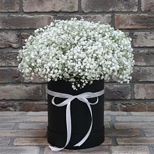 Цветочная композиция из Гипсофила в шляпной коробке в Приморско-Ахтарске