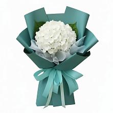 Букет цветов из:  Гортензия в Приморско-Ахтарске